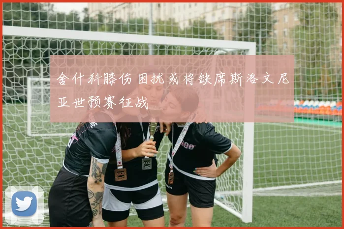 舍什科膝伤困扰或将缺席斯洛文尼亚世预赛征战