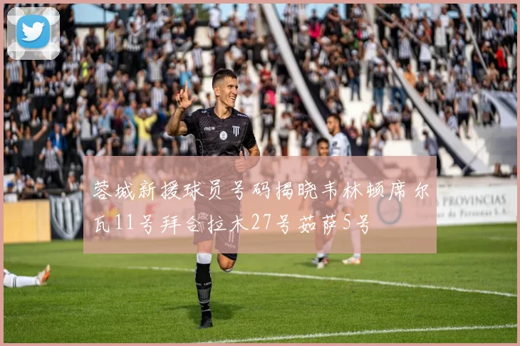 蓉城新援球员号码揭晓韦林顿席尔瓦11号拜合拉木27号茹萨5号